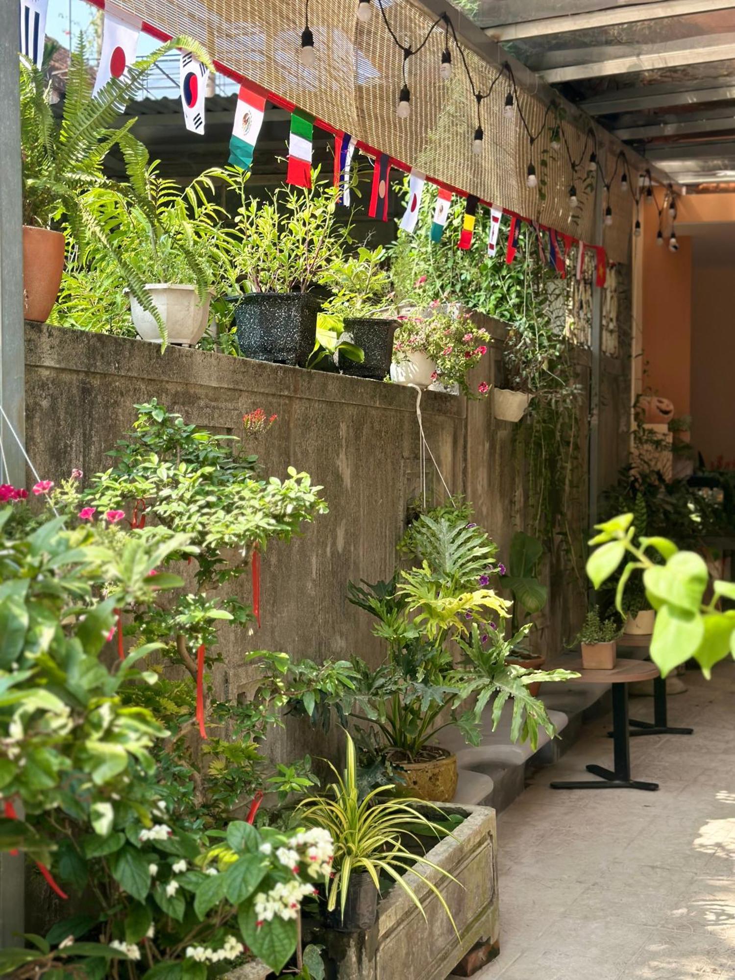 הואה Chi'S Homestay & Coffee מראה חיצוני תמונה